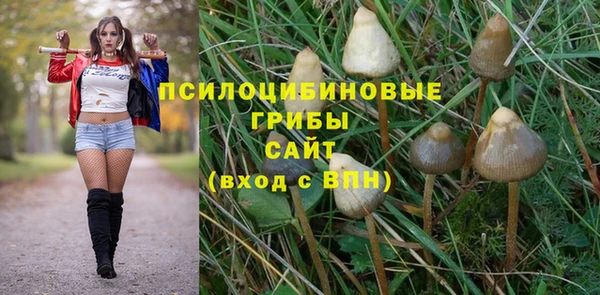 соль ск Алзамай