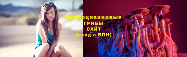 соль ск Алзамай