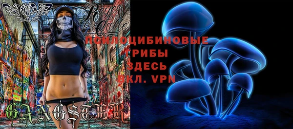 соль ск Алзамай