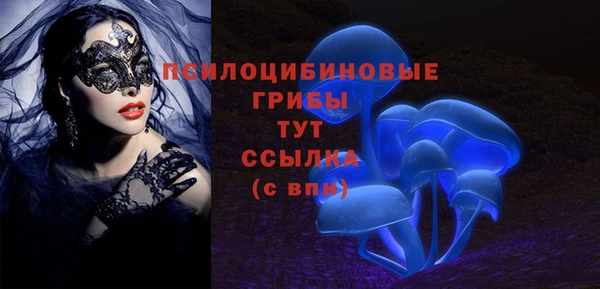 соль ск Алзамай