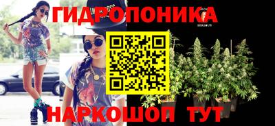 ECSTASY Гулькевичи