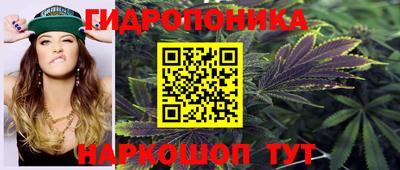 ECSTASY Гулькевичи