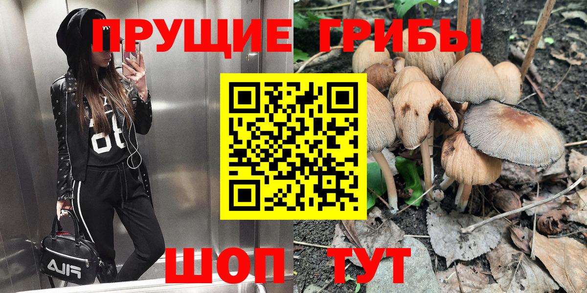 Псилоцибиновые грибы мицелий  Вход с VPN  Нарьян-Мар 